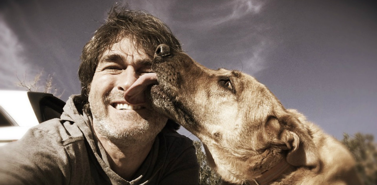 Le nostre emozioni influenzano anche i cani?