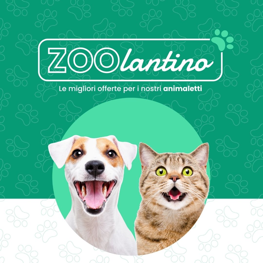 zoo service - offerte